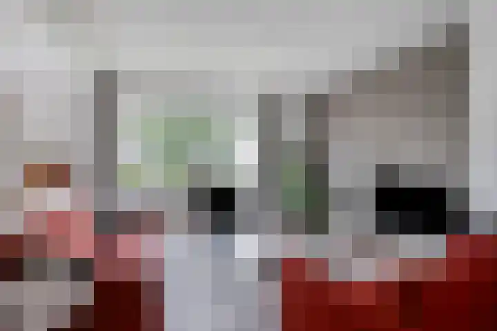 Geldropseweg 146 Eindhoven thumbnail 13