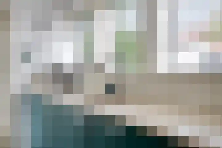 Geldropseweg 146 Eindhoven thumbnail 21