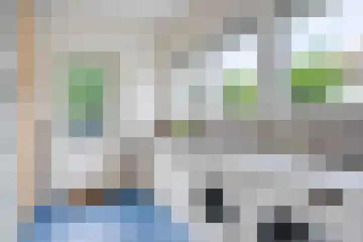 Geldropseweg 146 Eindhoven thumbnail 23