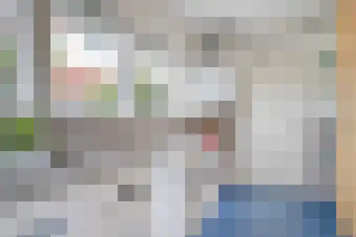 Geldropseweg 146 Eindhoven thumbnail 24