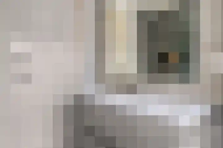 Geldropseweg 146 Eindhoven thumbnail 32