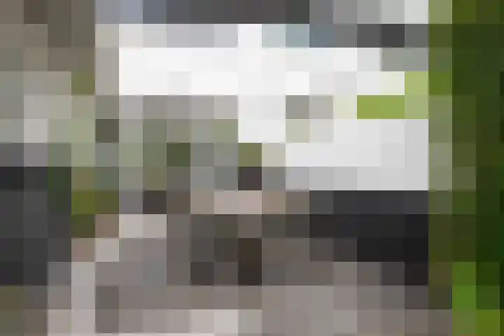 Geldropseweg 146 Eindhoven thumbnail 41