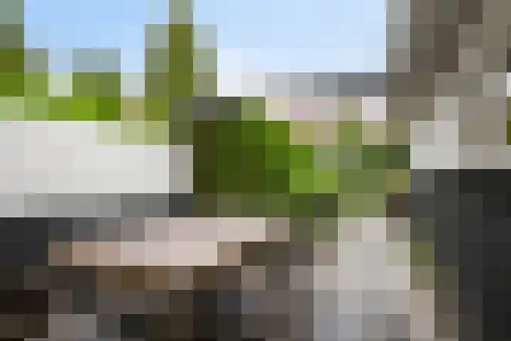 Geldropseweg 146 Eindhoven thumbnail 42