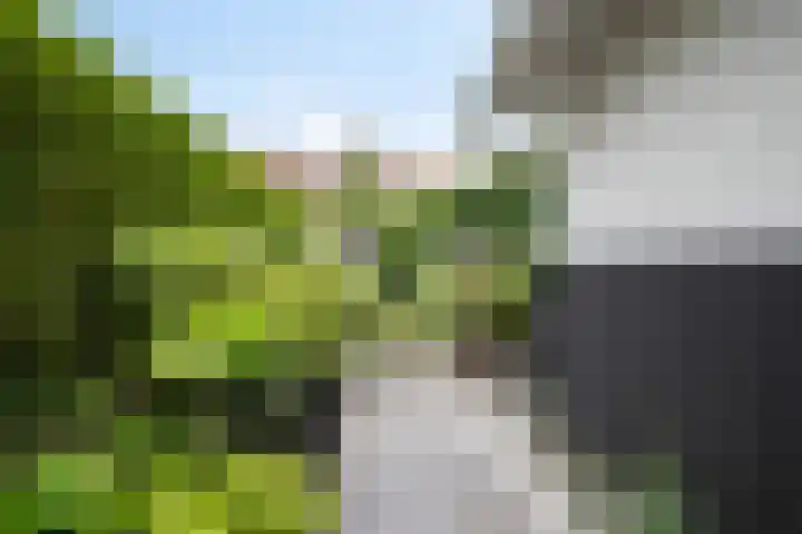 Geldropseweg 146 Eindhoven thumbnail 43