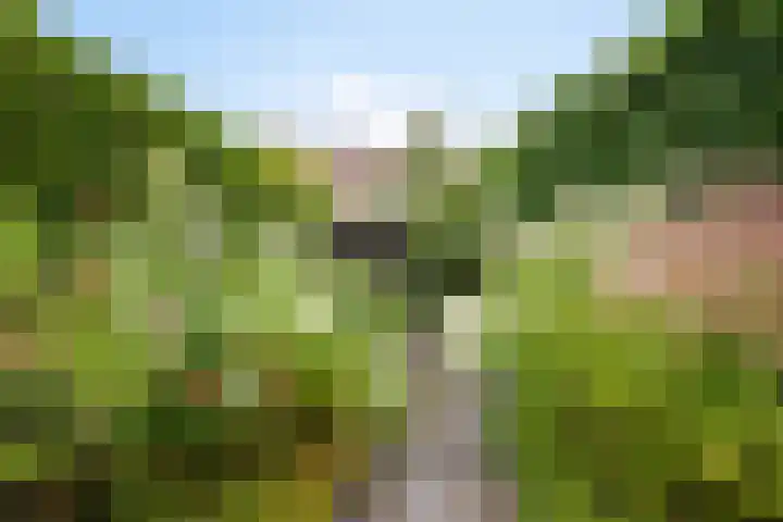 Geldropseweg 146 Eindhoven thumbnail 44
