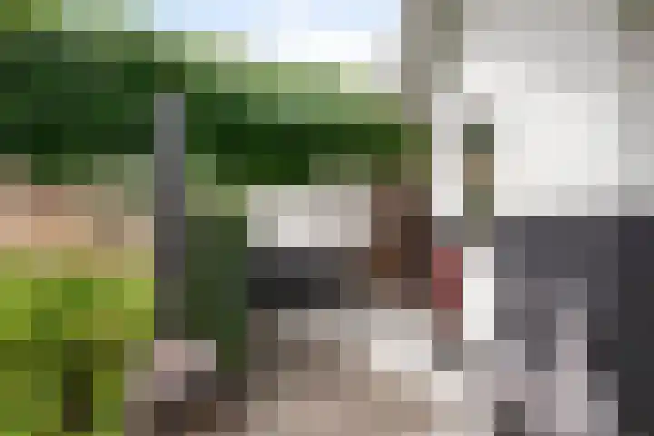 Geldropseweg 146 Eindhoven thumbnail 45