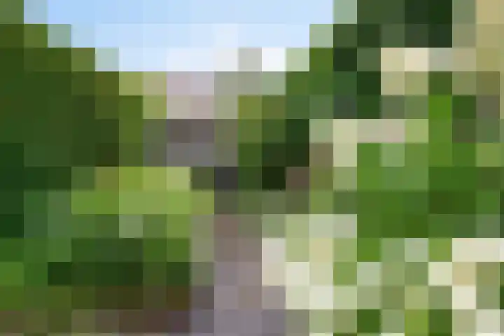 Geldropseweg 146 Eindhoven thumbnail 46