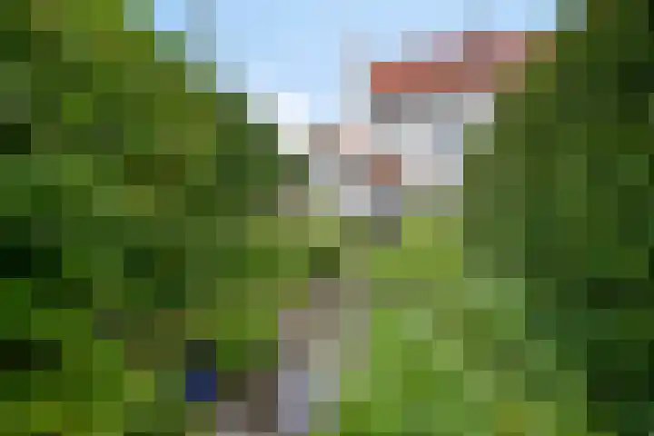 Geldropseweg 146 Eindhoven thumbnail 47