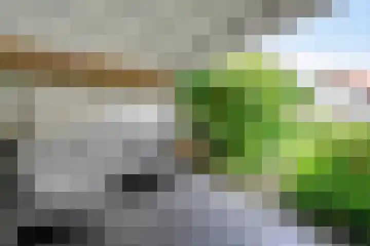 Geldropseweg 146 Eindhoven thumbnail 49