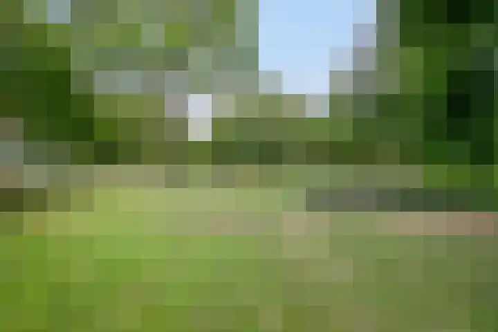 Geldropseweg 146 Eindhoven thumbnail 55