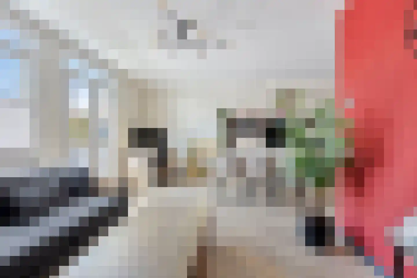 Geldropseweg 171 A Eindhoven thumbnail 19