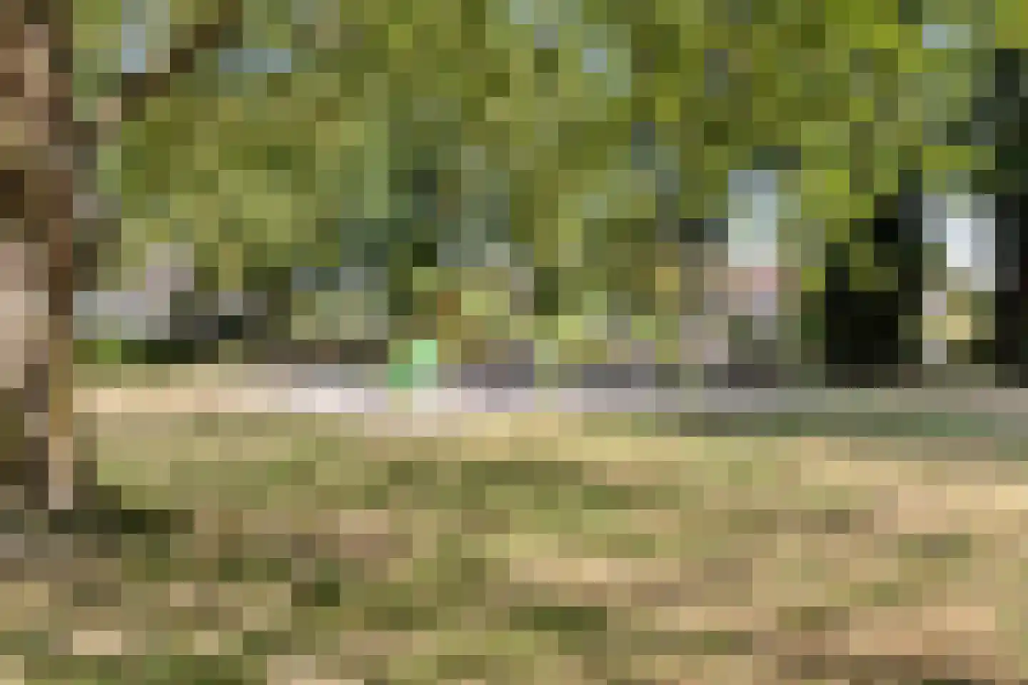 Geldropseweg 171 A Eindhoven thumbnail 42
