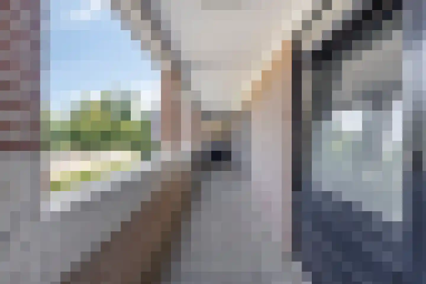 Geldropseweg 171 A Eindhoven thumbnail 9