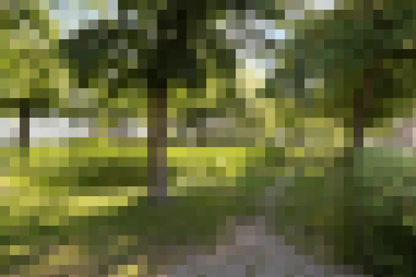 Geldropseweg 172 06 Eindhoven thumbnail 40