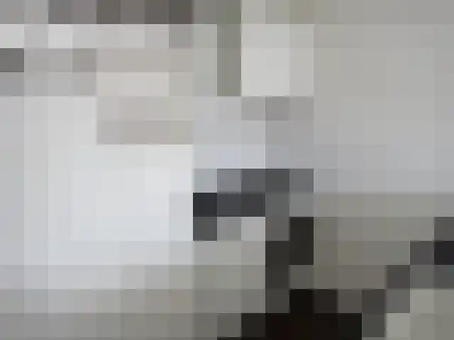 Geldropseweg 177 Eindhoven thumbnail 5