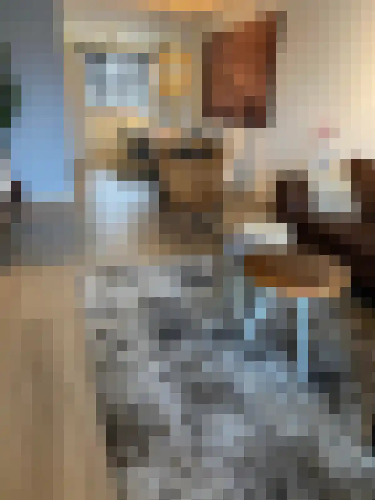 Geldropseweg 180 Eindhoven thumbnail 5