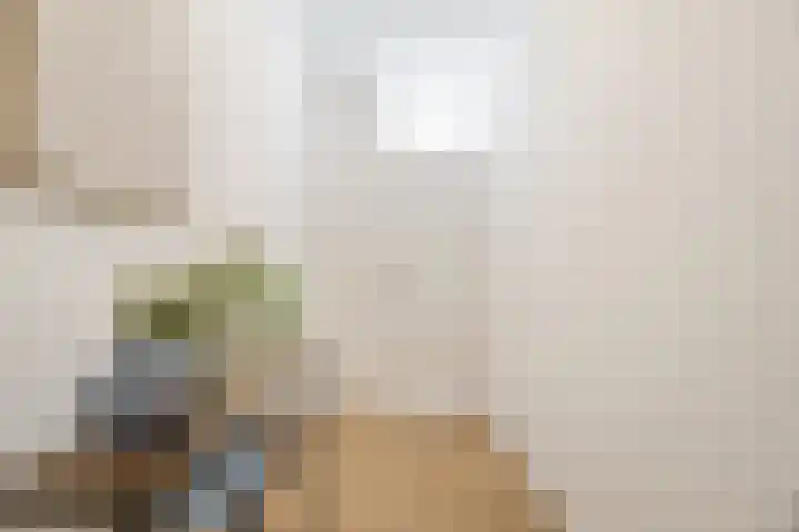 Geldropseweg 185 Eindhoven thumbnail 11