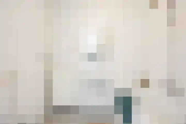 Geldropseweg 185 Eindhoven thumbnail 12