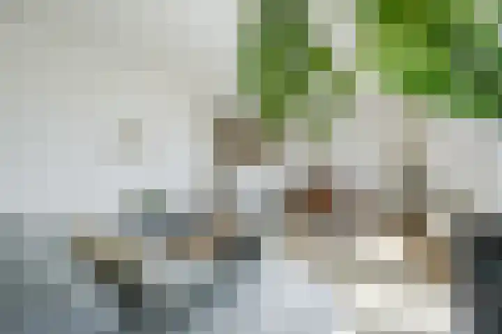 Geldropseweg 185 Eindhoven thumbnail 5
