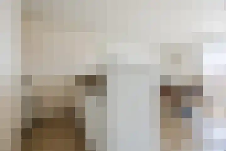 Geldropseweg 185 Eindhoven thumbnail 6