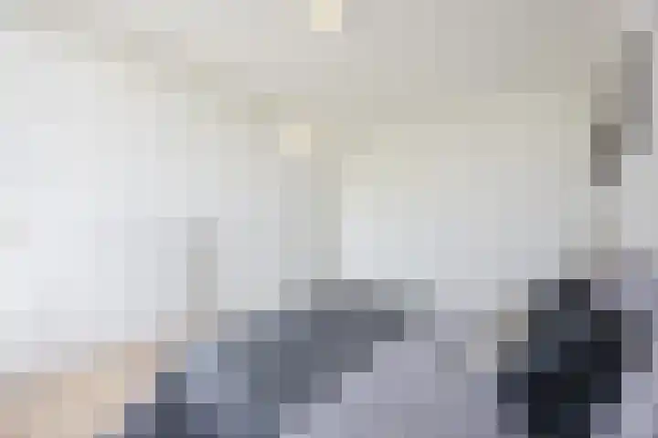 Geldropseweg 185 Eindhoven thumbnail 9