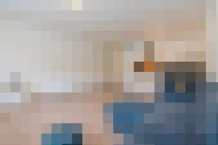 Geldropseweg 192 Eindhoven thumbnail 15