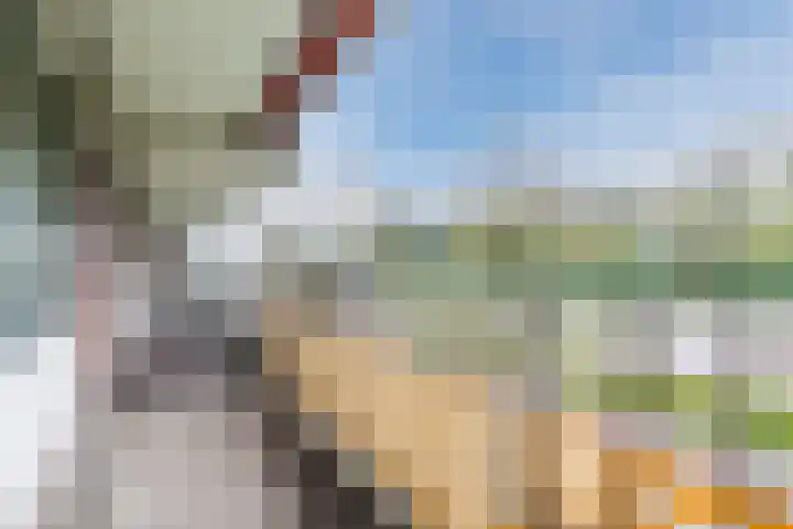Geldropseweg 192 Eindhoven thumbnail 24