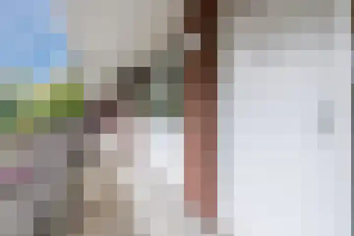 Geldropseweg 192 Eindhoven thumbnail 6