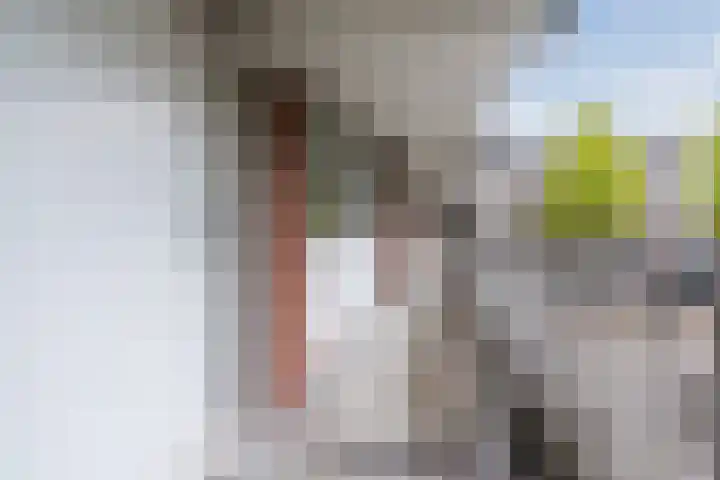 Geldropseweg 192 Eindhoven thumbnail 7