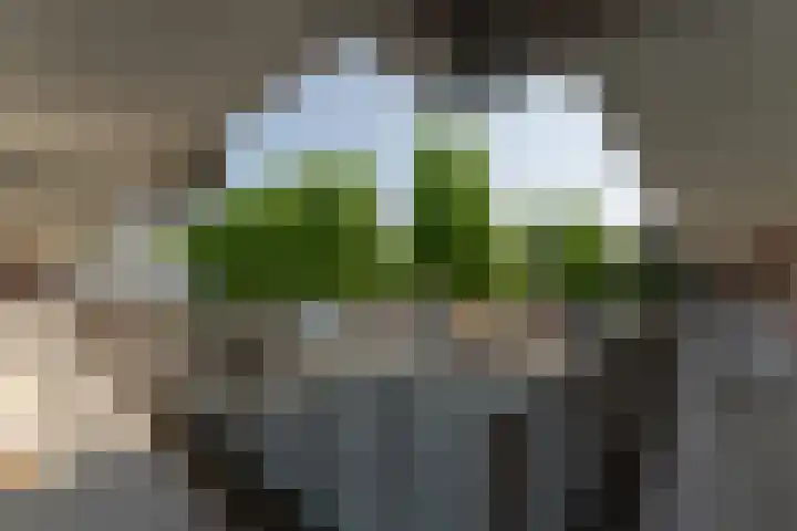Geldropseweg 194 Eindhoven thumbnail 12