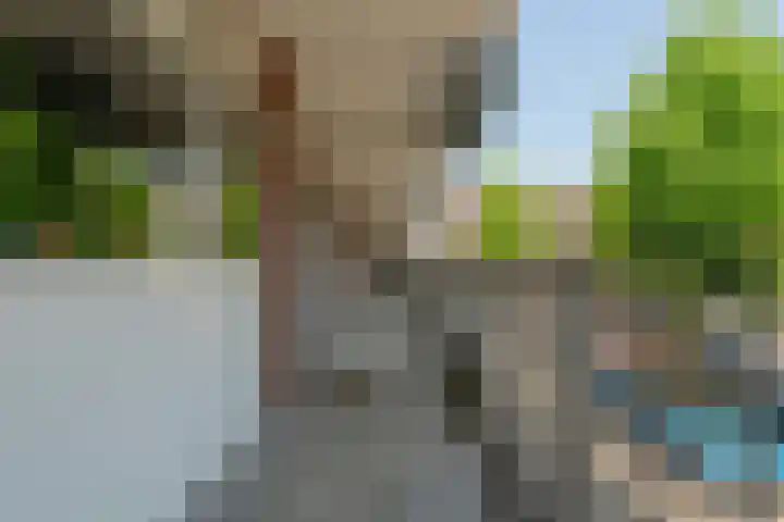 Geldropseweg 194 Eindhoven thumbnail 13