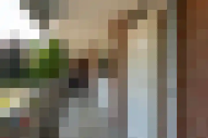 Geldropseweg 194 Eindhoven thumbnail 15