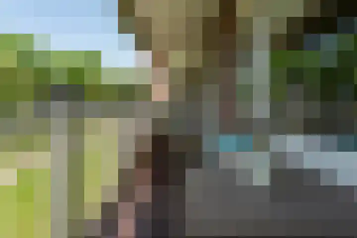 Geldropseweg 194 Eindhoven thumbnail 36