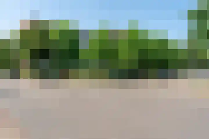 Geldropseweg 194 Eindhoven thumbnail 6
