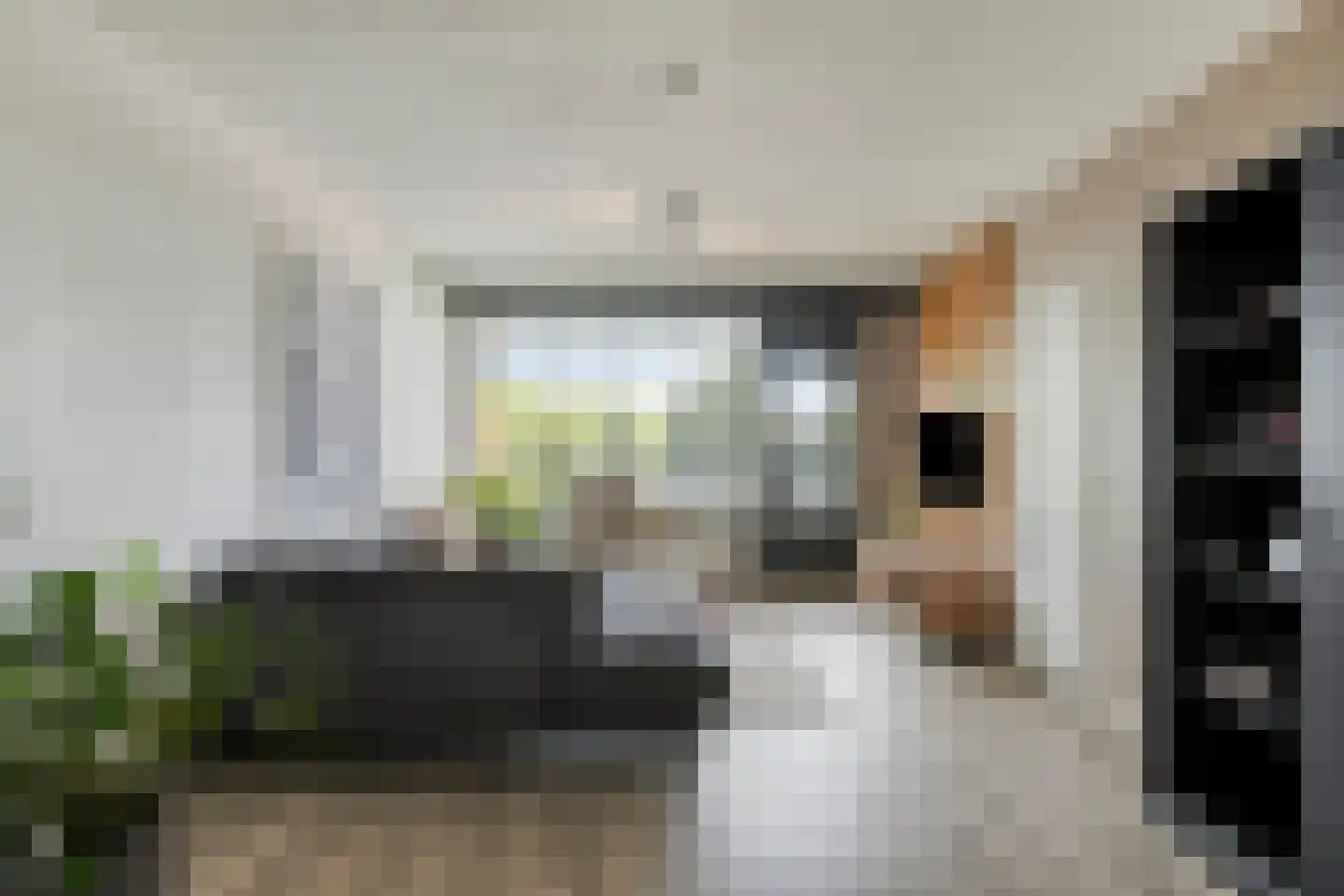 Geldropseweg 202 Eindhoven thumbnail 10