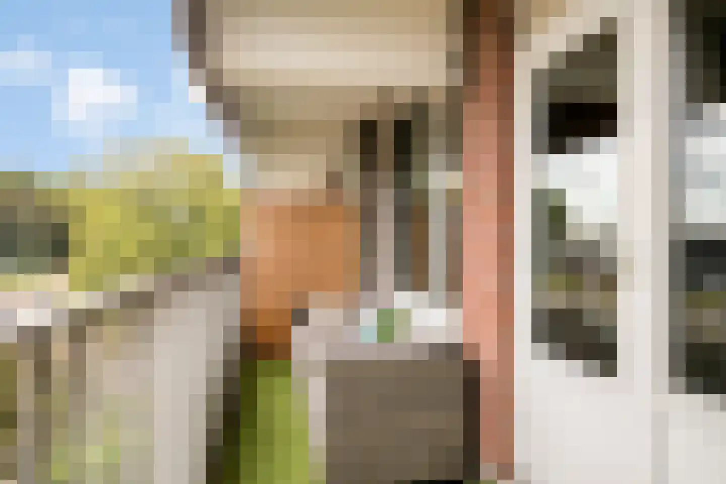 Geldropseweg 202 Eindhoven thumbnail 25
