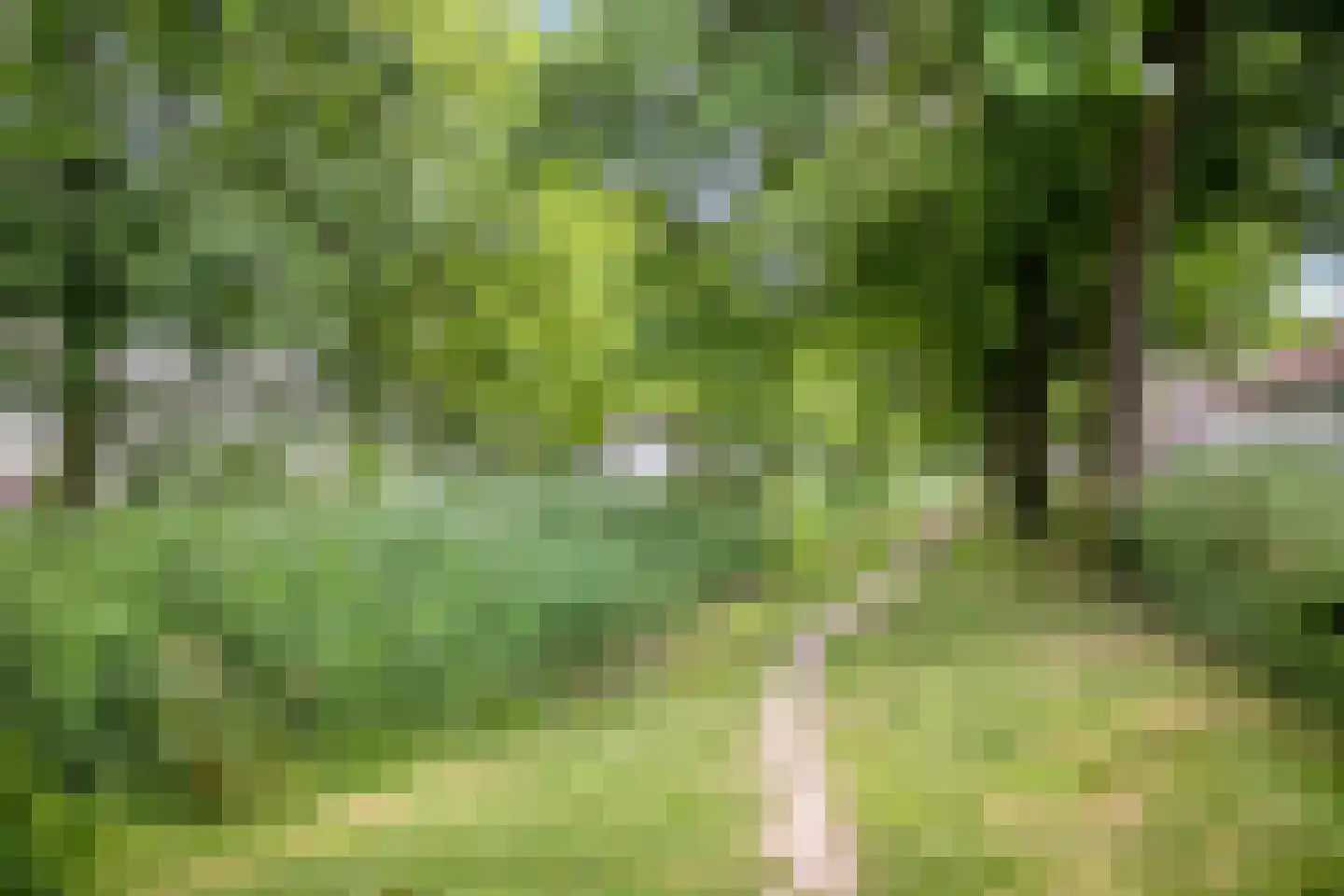 Geldropseweg 202 Eindhoven thumbnail 30