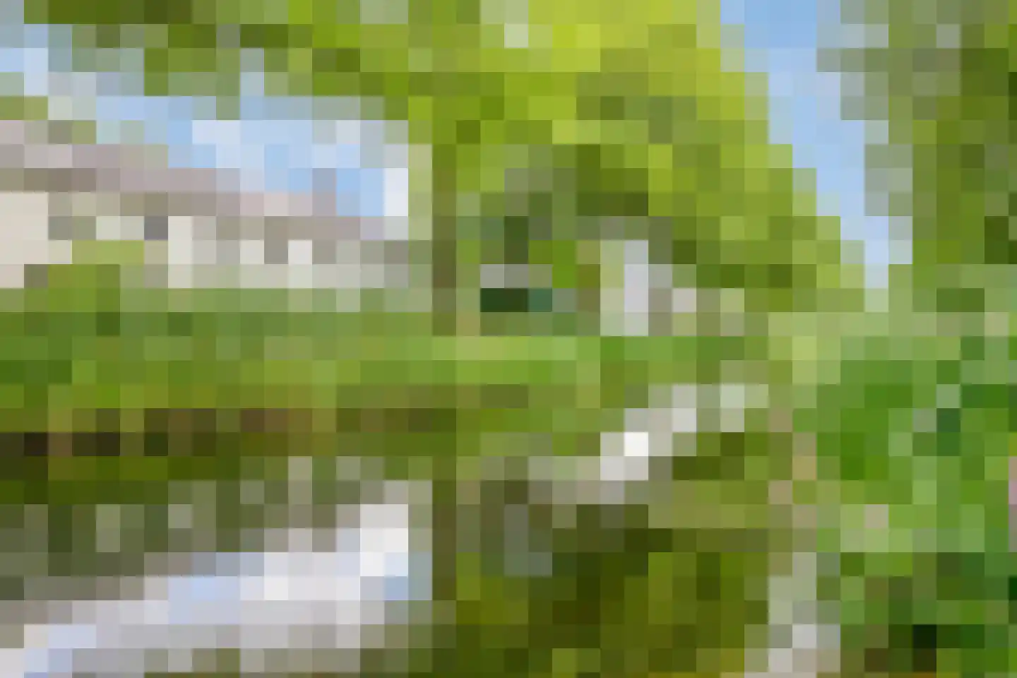 Geldropseweg 202 Eindhoven thumbnail 31