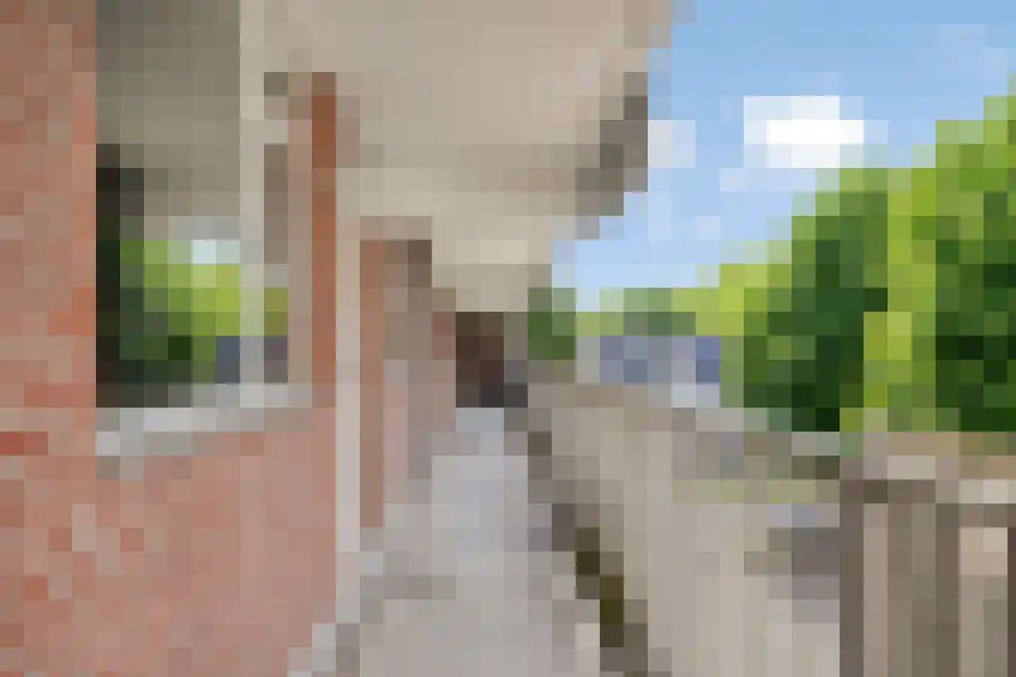 Geldropseweg 202 Eindhoven thumbnail 7