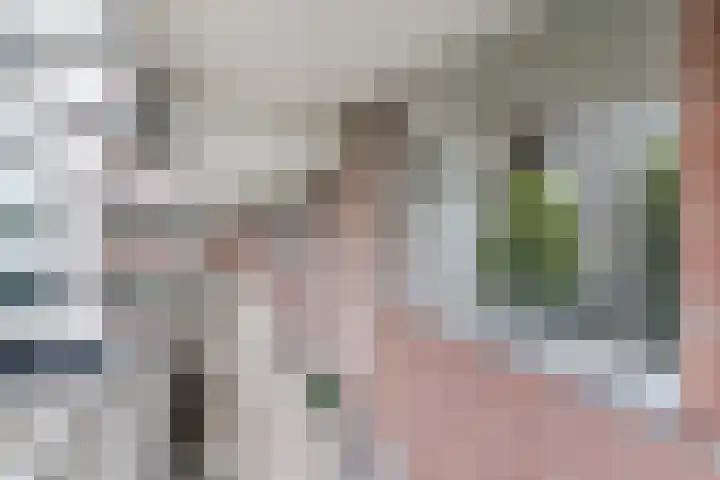 Geldropseweg 204 Eindhoven thumbnail 10