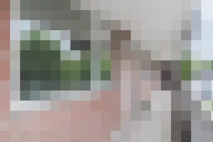 Geldropseweg 204 Eindhoven thumbnail 11