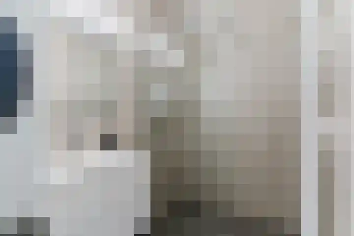 Geldropseweg 204 Eindhoven thumbnail 29