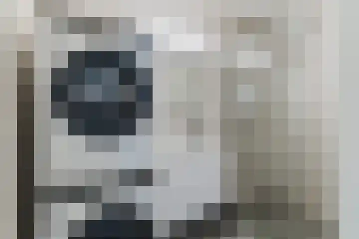 Geldropseweg 204 Eindhoven thumbnail 30