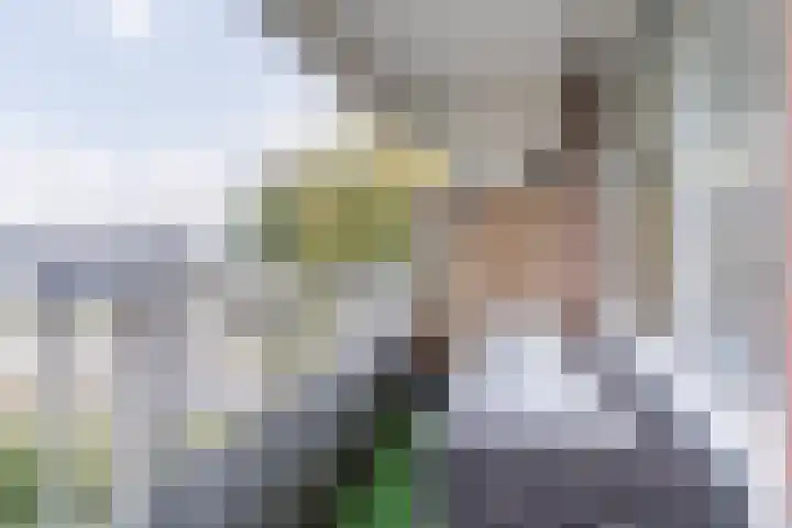 Geldropseweg 204 Eindhoven thumbnail 32