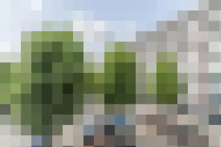 Geldropseweg 204 Eindhoven thumbnail 36