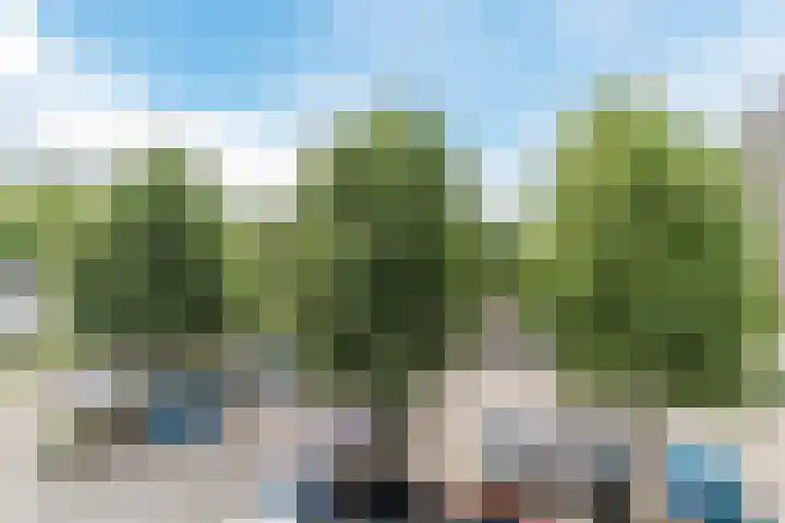 Geldropseweg 204 Eindhoven thumbnail 37