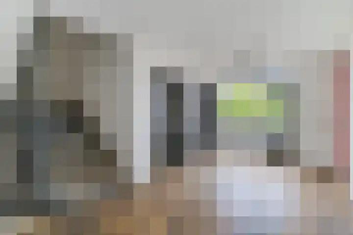 Geldropseweg 204 Eindhoven thumbnail 9