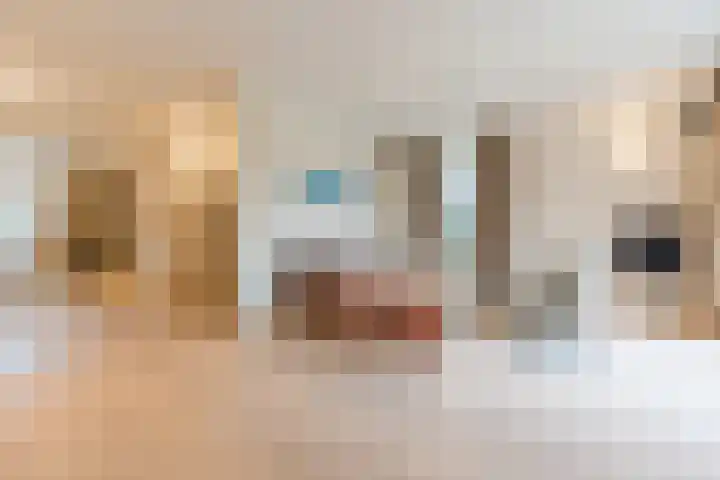 Geldropseweg 21 Heeze thumbnail 10