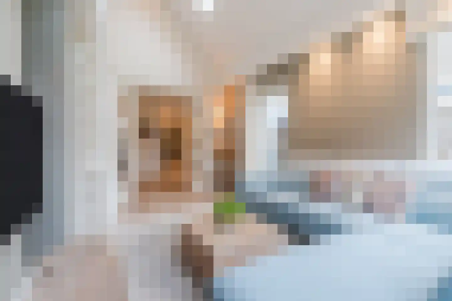 Geldropseweg 21 Heeze thumbnail 16