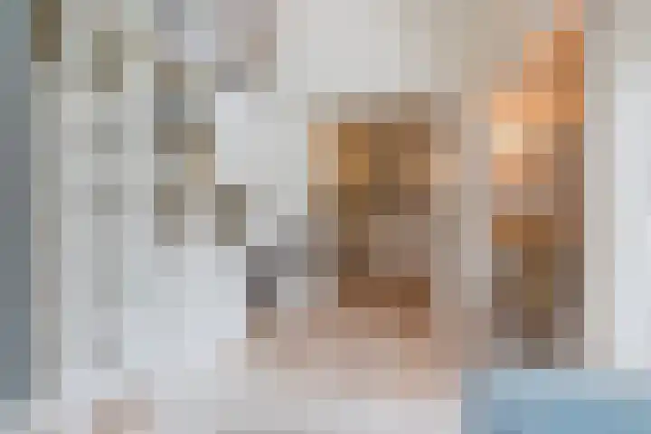 Geldropseweg 21 Heeze thumbnail 17